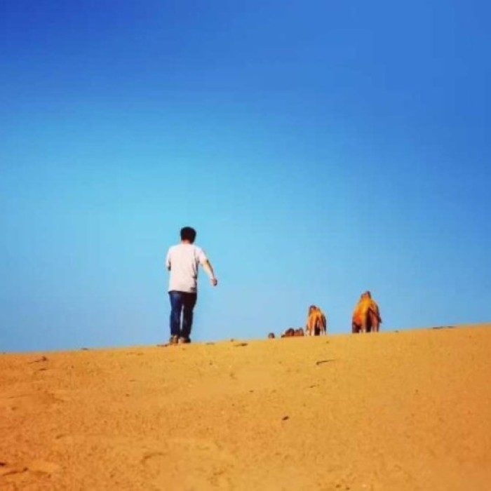Exploring the Unique Coastal Sand Dunes of Okjuk-dong