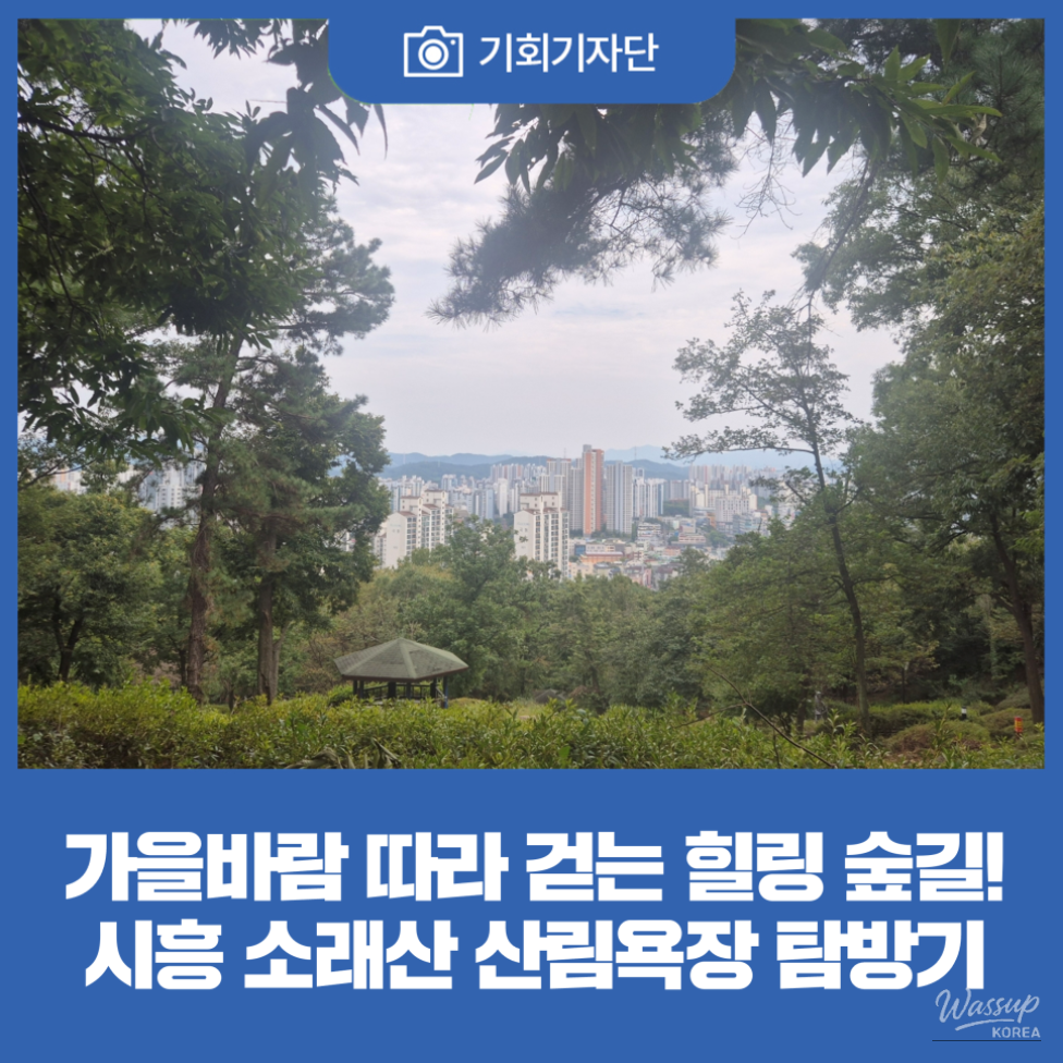 Exploring the Serenity of Soraesan Forest Bathing Area_01