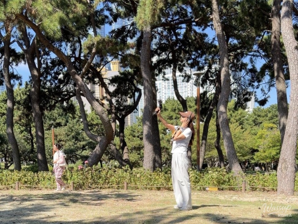 Experience Sound Walking in Busan_02