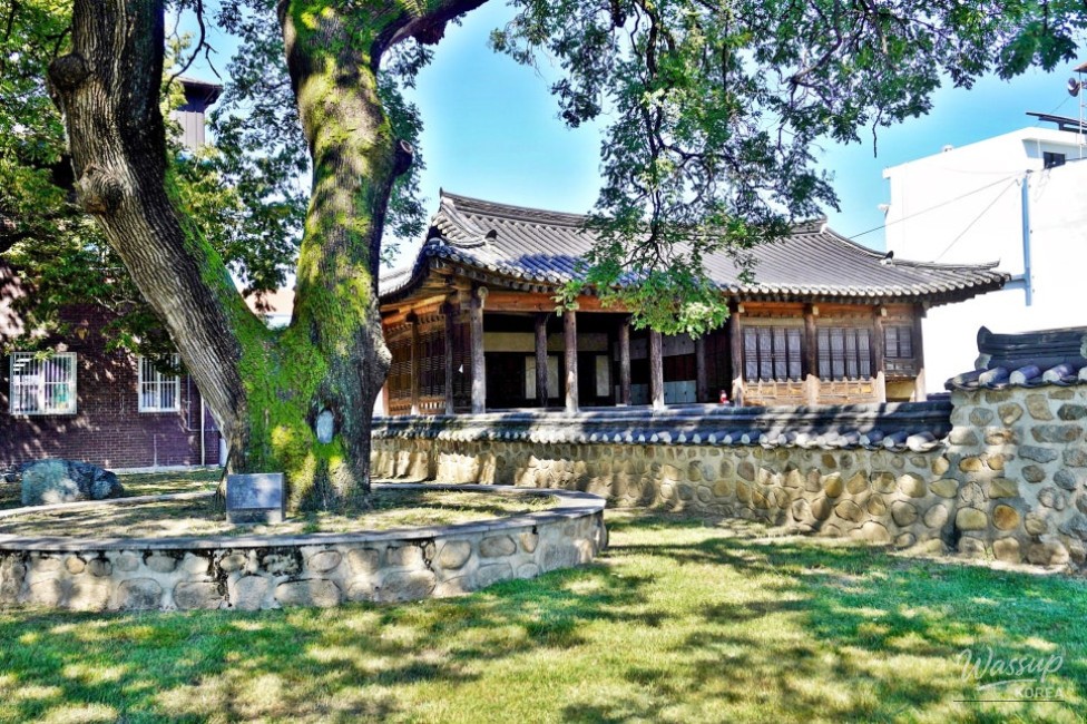 Exploring Goesan: The Historic Ginkgo Tree and Cultural Heritage_02