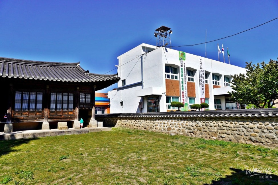 Exploring Goesan: The Historic Ginkgo Tree and Cultural Heritage_03