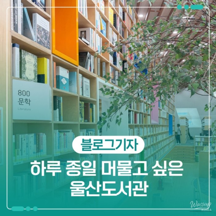 Exploring Ulsan Library: A Cultural Haven
