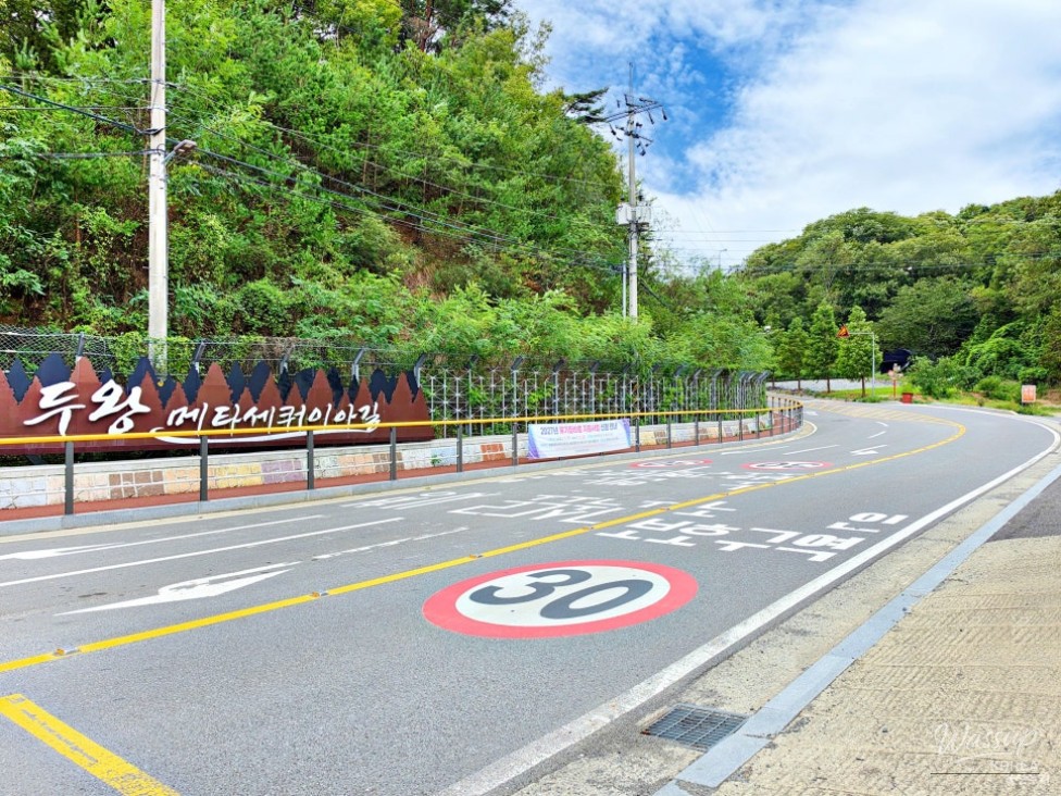 Autumn Escape in Ulsan's Nature_02