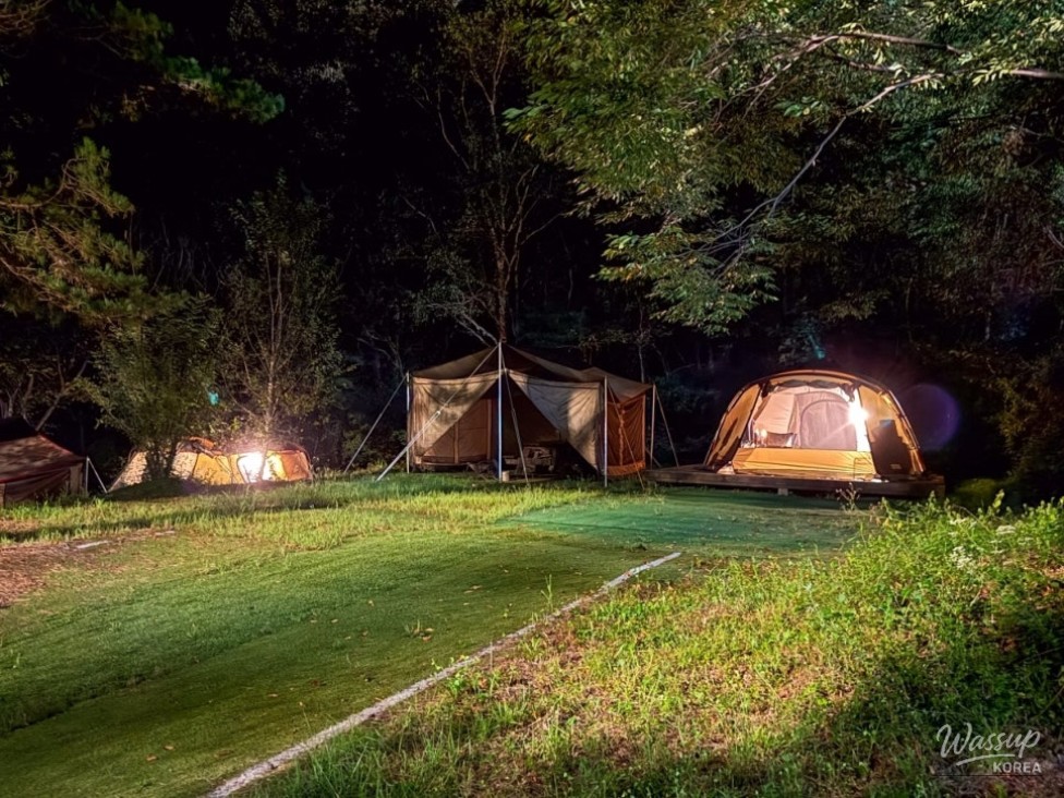 Exploring the Healing Forest at Kolon Camping Park in Goesan_11
