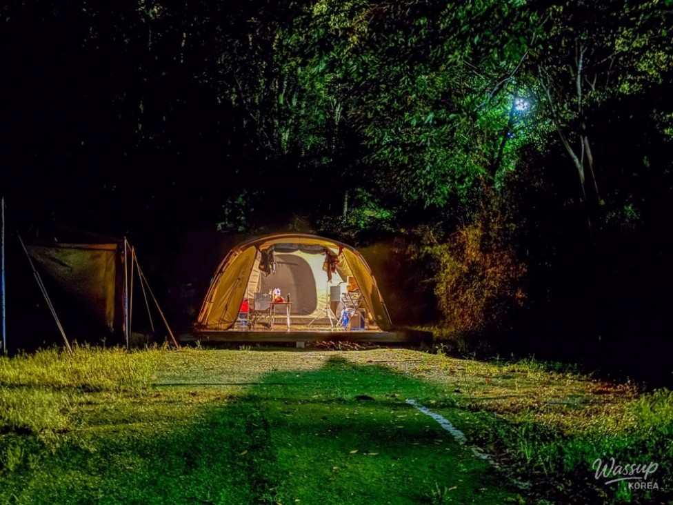 Exploring the Healing Forest at Kolon Camping Park in Goesan_05
