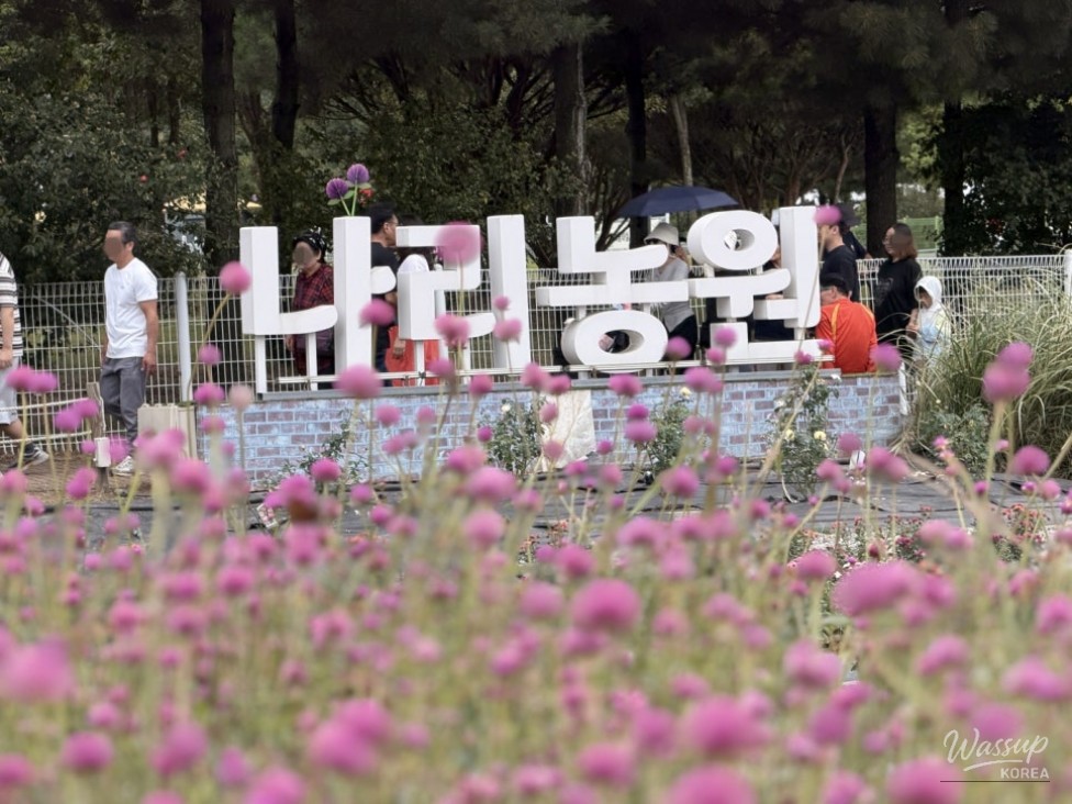 Exploring the Autumn Festival at Yangju Nari Farm_08