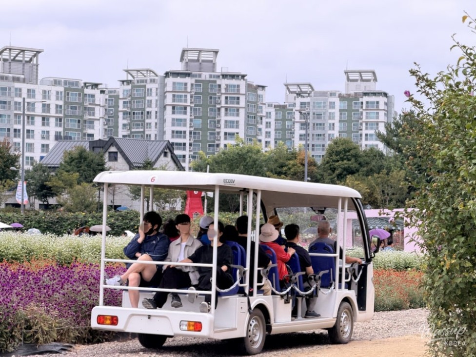 Exploring the Autumn Festival at Yangju Nari Farm_06