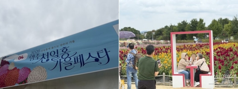 Exploring the Autumn Festival at Yangju Nari Farm_03