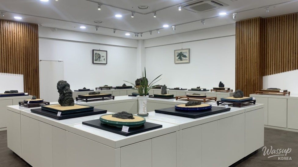 Exploring the Beauty of the Goesan Stone Exhibition Hall_06