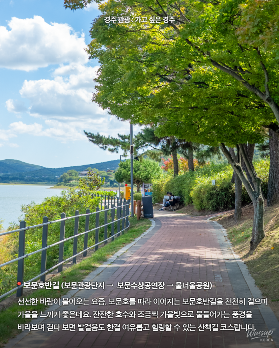 Autumn Stroll Along Bomun Lake_02