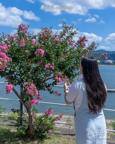 Autumn Stroll Along Bomun Lake_04