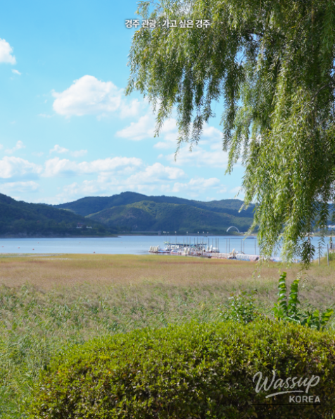 Autumn Stroll Along Bomun Lake_06