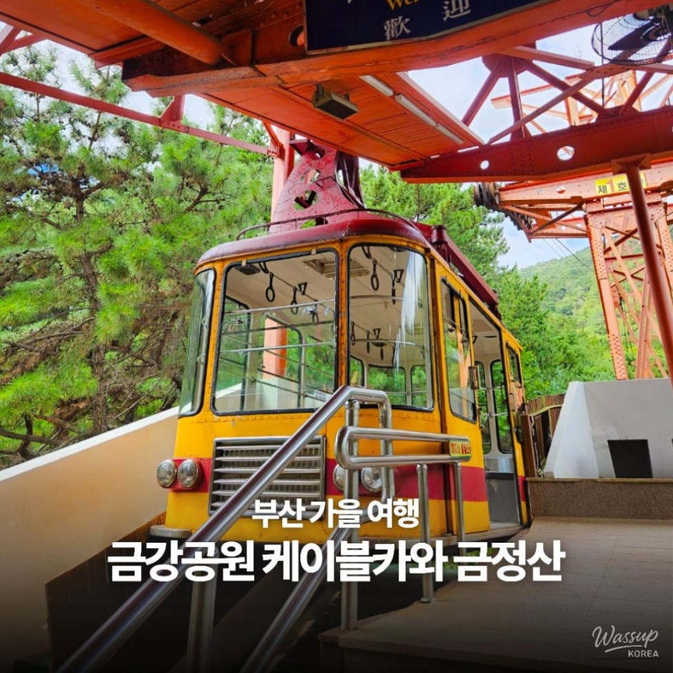 Exploring the Hidden Autumn Charm of Busan: A Journey through Geumgang Park and Geumjeongsan_01