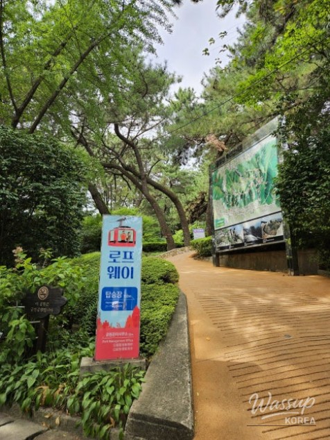 Exploring the Hidden Autumn Charm of Busan: A Journey through Geumgang Park and Geumjeongsan_05