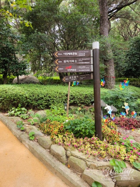 Exploring the Hidden Autumn Charm of Busan: A Journey through Geumgang Park and Geumjeongsan_04