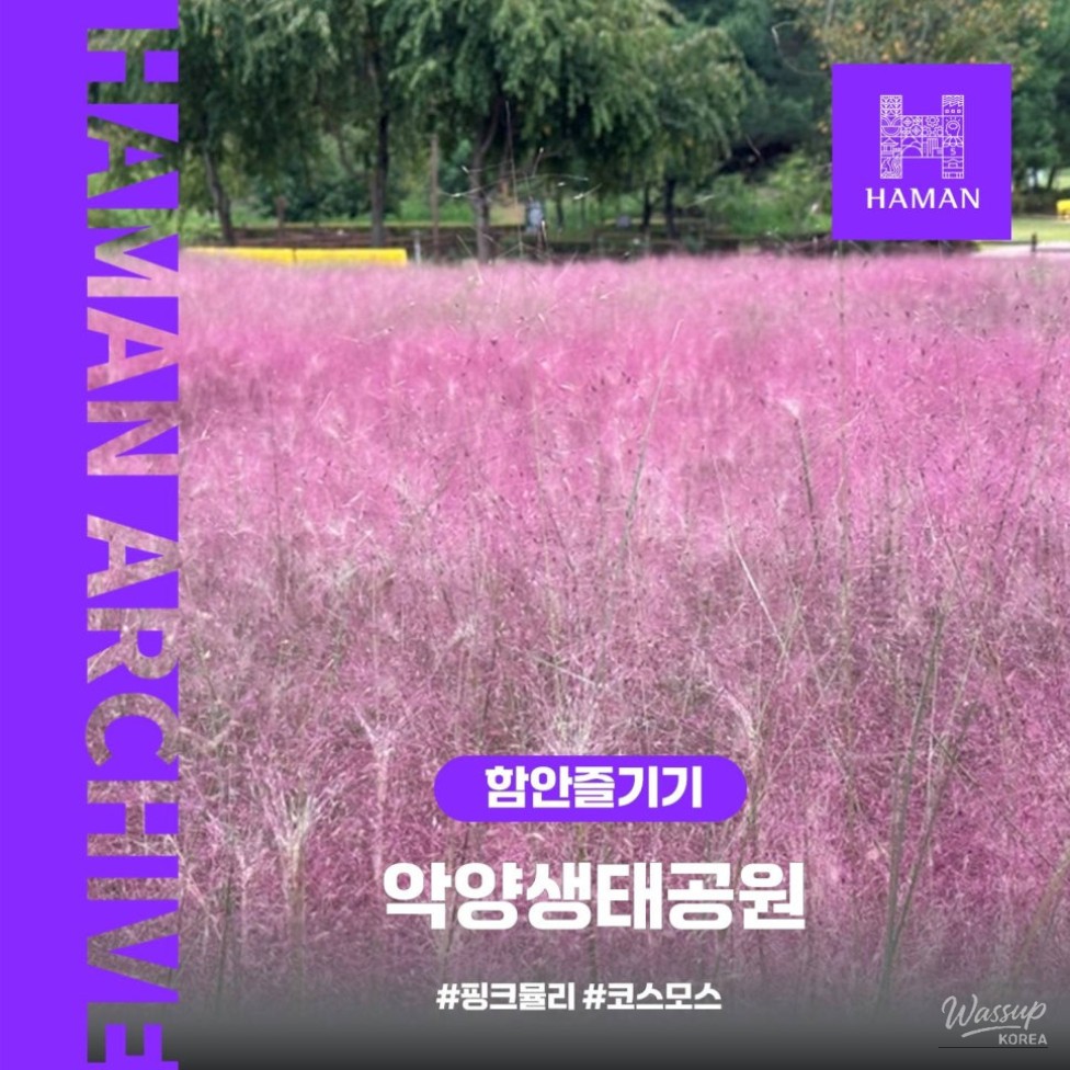 Exploring the Beauty of Akyang Ecological Park in Fall_01
