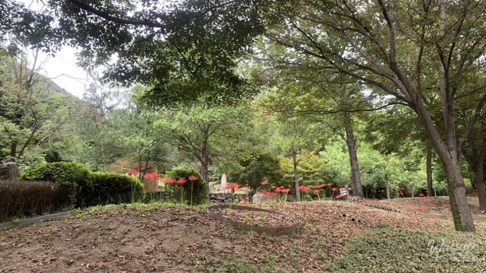 Exploring Seongbulsan Ecological Park in Goesan_04