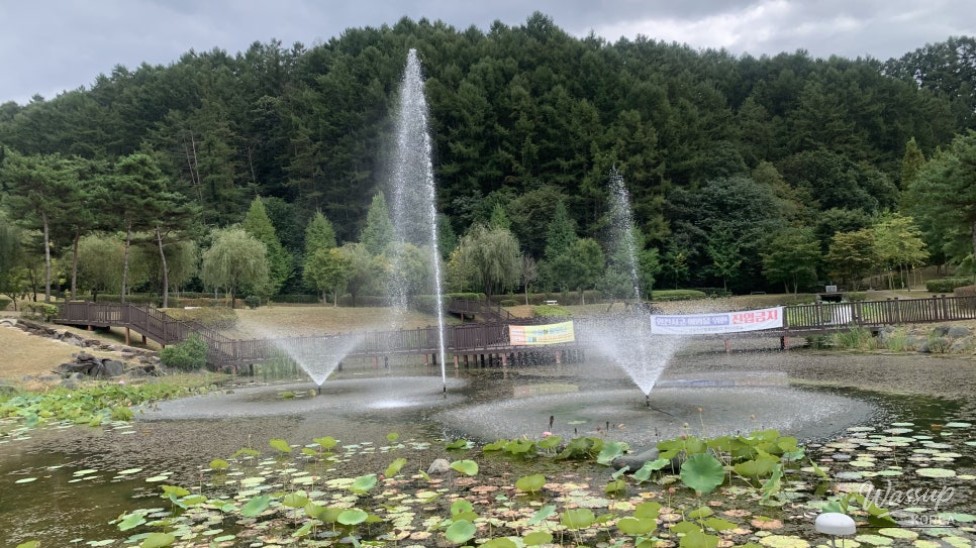 Exploring Seongbulsan Ecological Park in Goesan_07