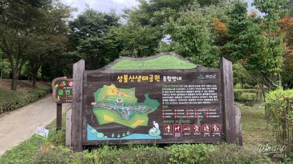 Exploring Seongbulsan Ecological Park in Goesan_02