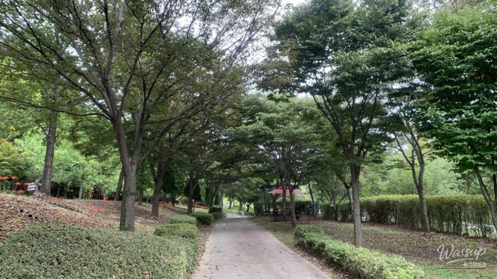 Exploring Seongbulsan Ecological Park in Goesan_03