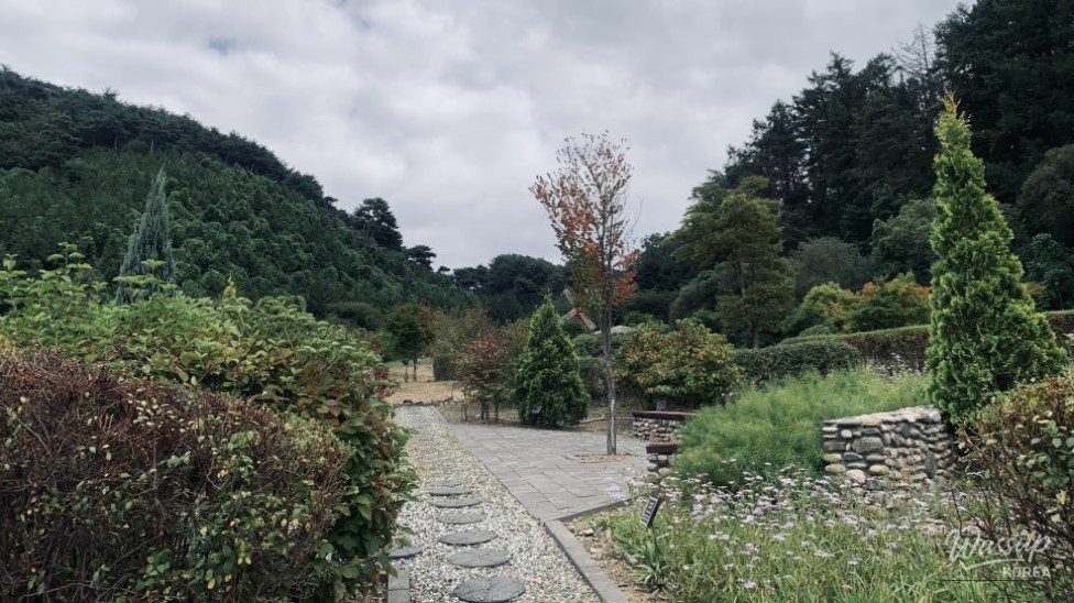 Exploring Seongbulsan Ecological Park in Goesan_08