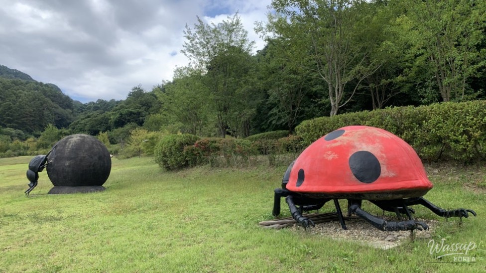 Exploring Seongbulsan Ecological Park in Goesan_06