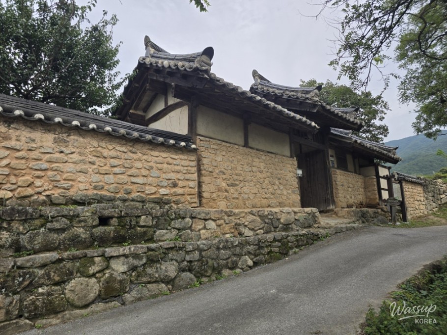 Exploring Dongho Forest in Geochang: A Scenic Autumn Walk_17