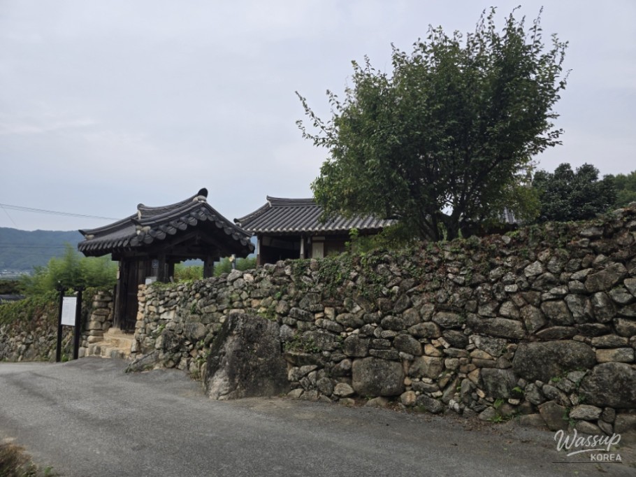 Exploring Dongho Forest in Geochang: A Scenic Autumn Walk_19