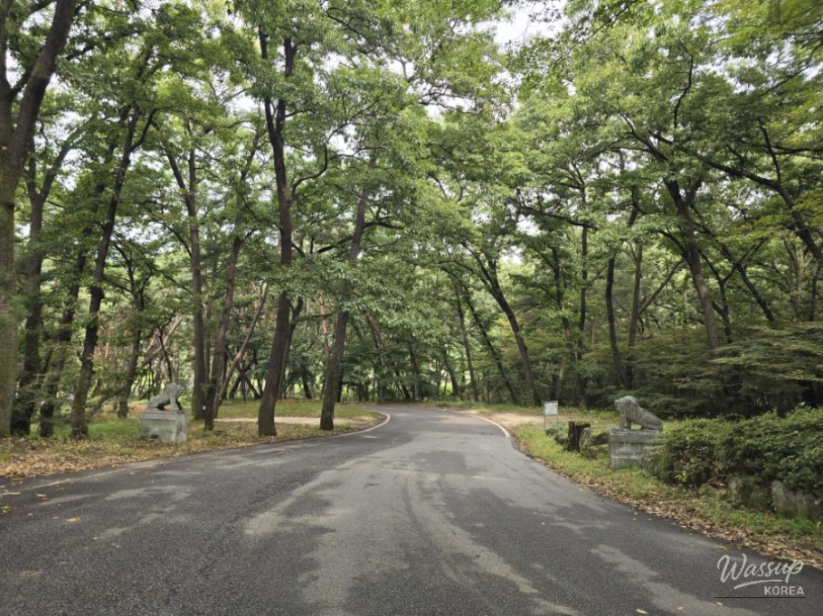 Exploring Dongho Forest in Geochang: A Scenic Autumn Walk_13