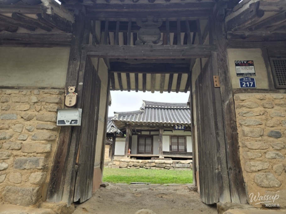 Exploring Dongho Forest in Geochang: A Scenic Autumn Walk_18