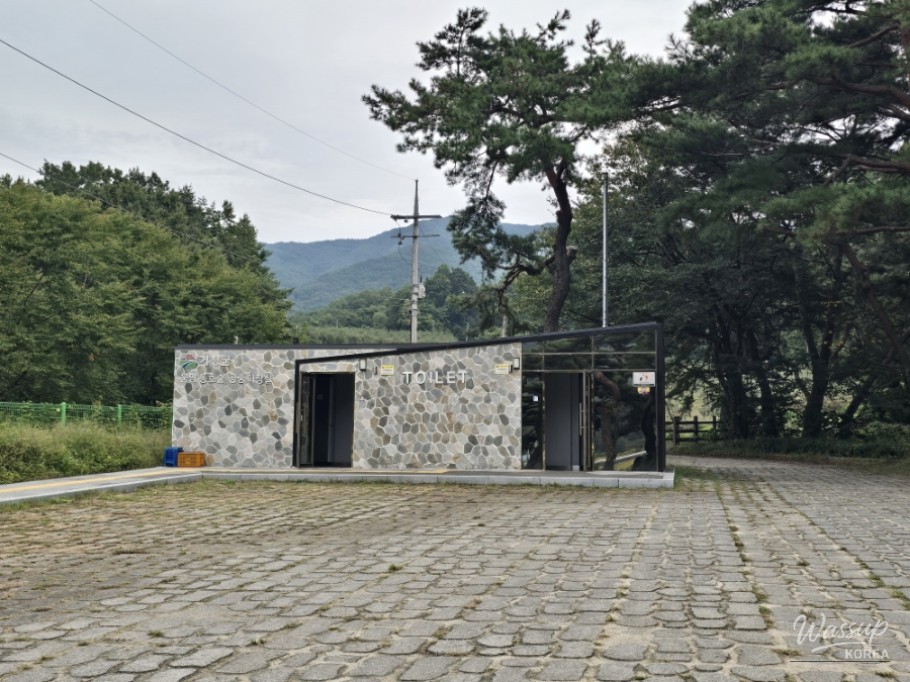 Exploring Dongho Forest in Geochang: A Scenic Autumn Walk_03