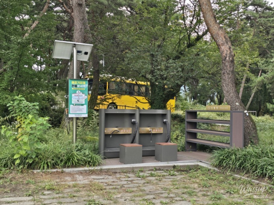 Exploring Dongho Forest in Geochang: A Scenic Autumn Walk_02
