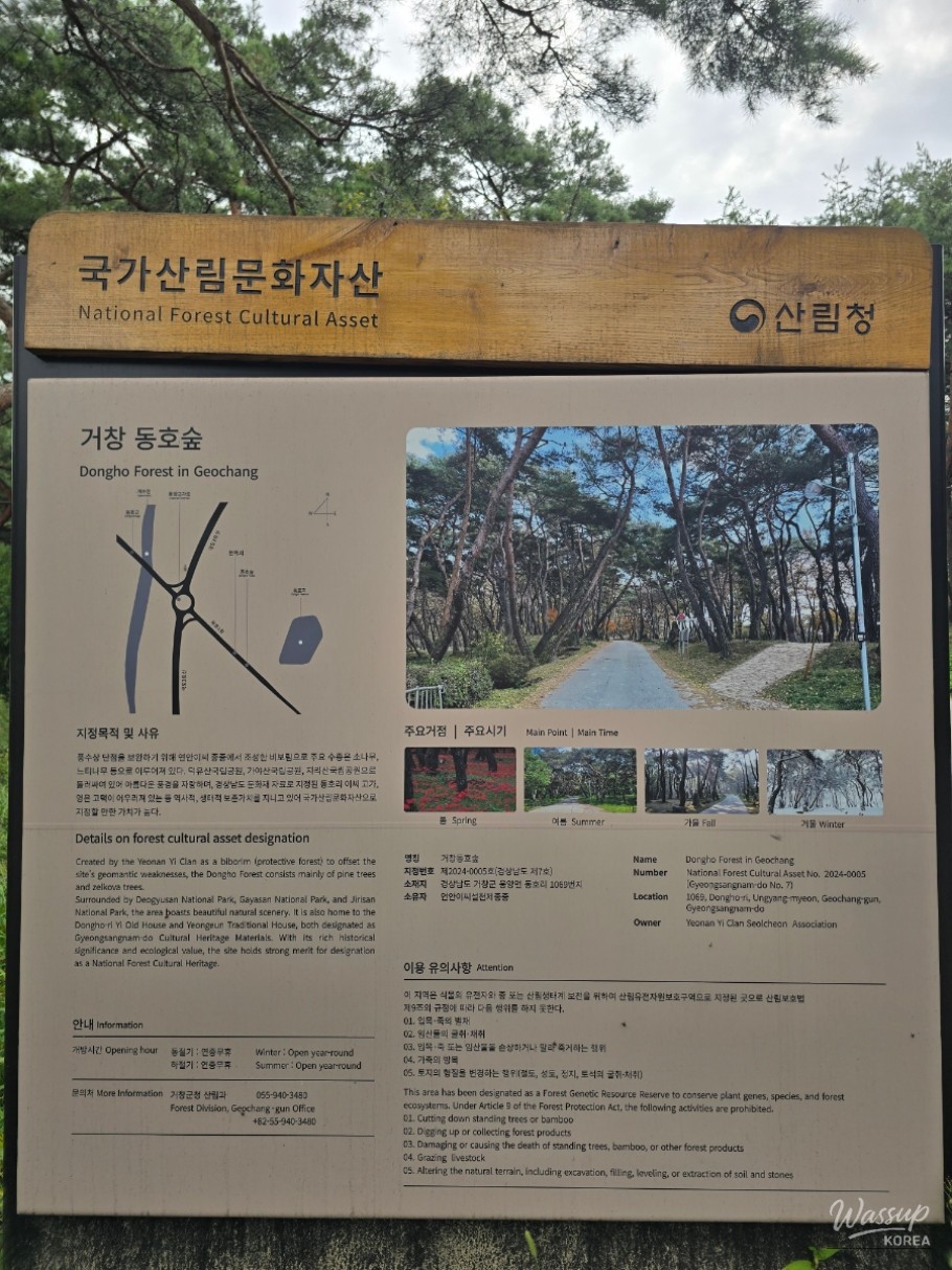 Exploring Dongho Forest in Geochang: A Scenic Autumn Walk_23