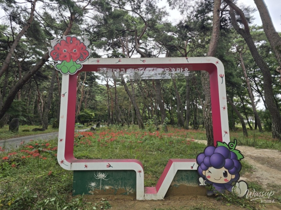 Exploring Dongho Forest in Geochang: A Scenic Autumn Walk_01