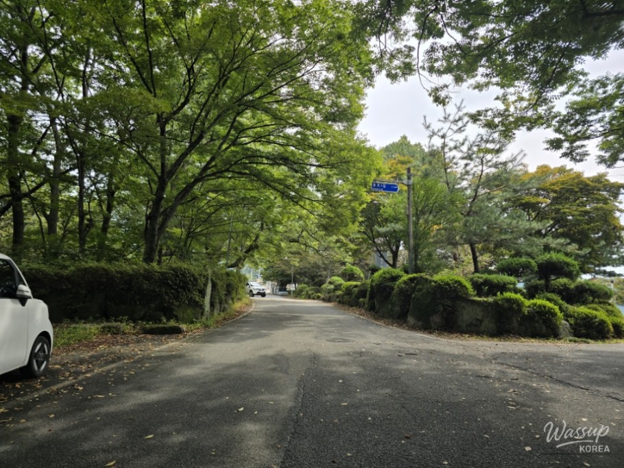 Exploring Dongho Forest in Geochang: A Scenic Autumn Walk_16