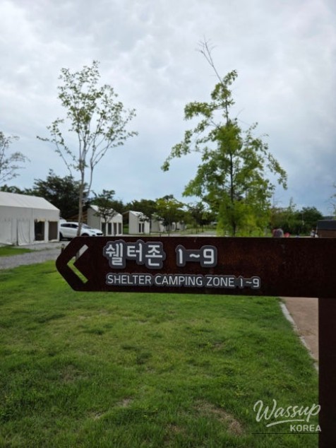 Autumn Adventures: Camping and Festivals in Paju Imjingak_03