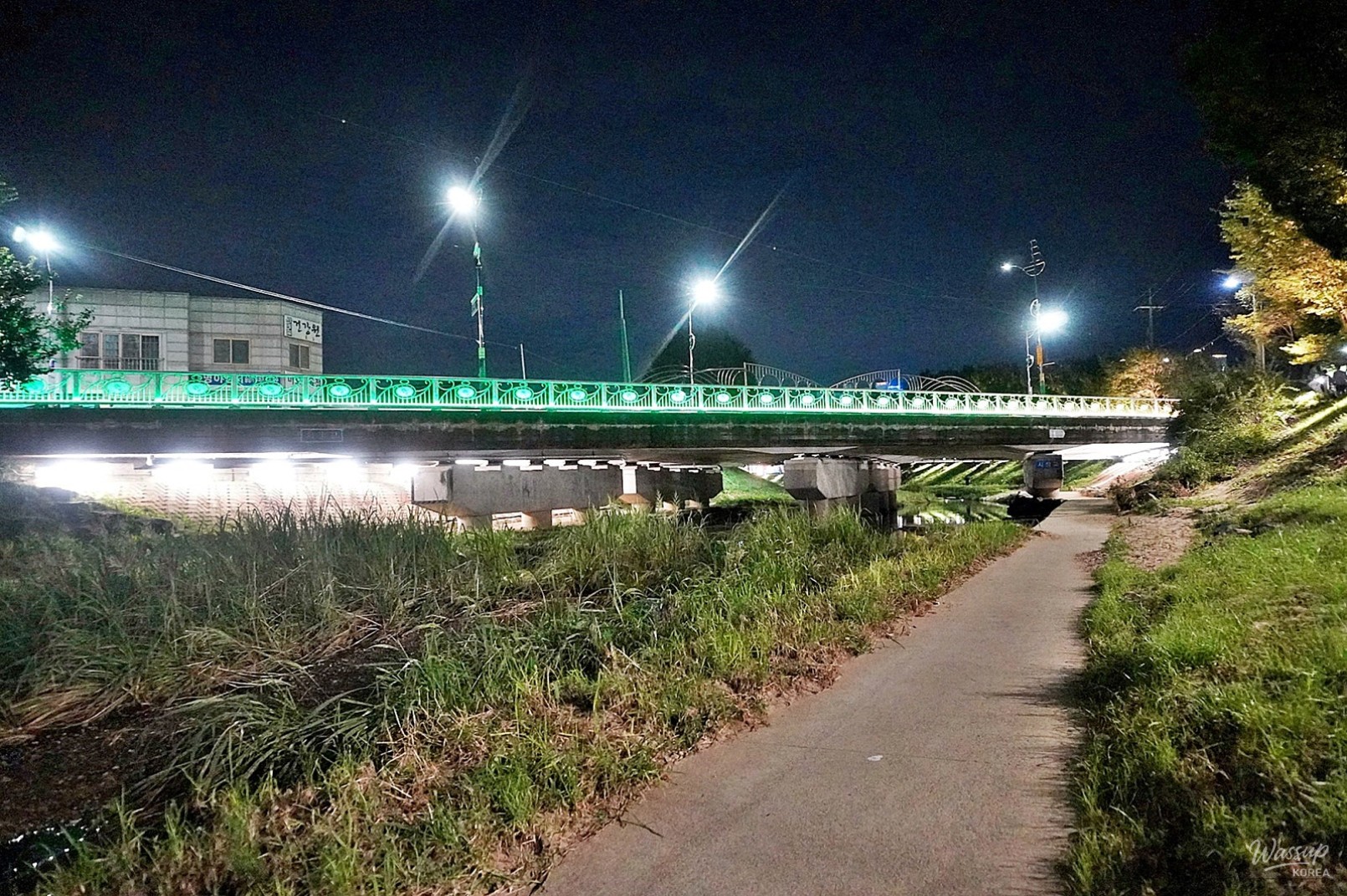 The Night Beauty of Dangjincheon_13