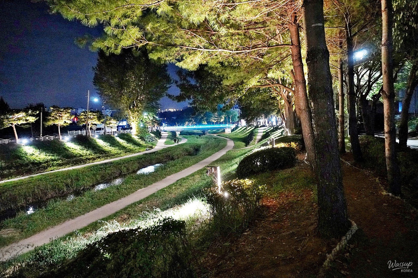The Night Beauty of Dangjincheon_14