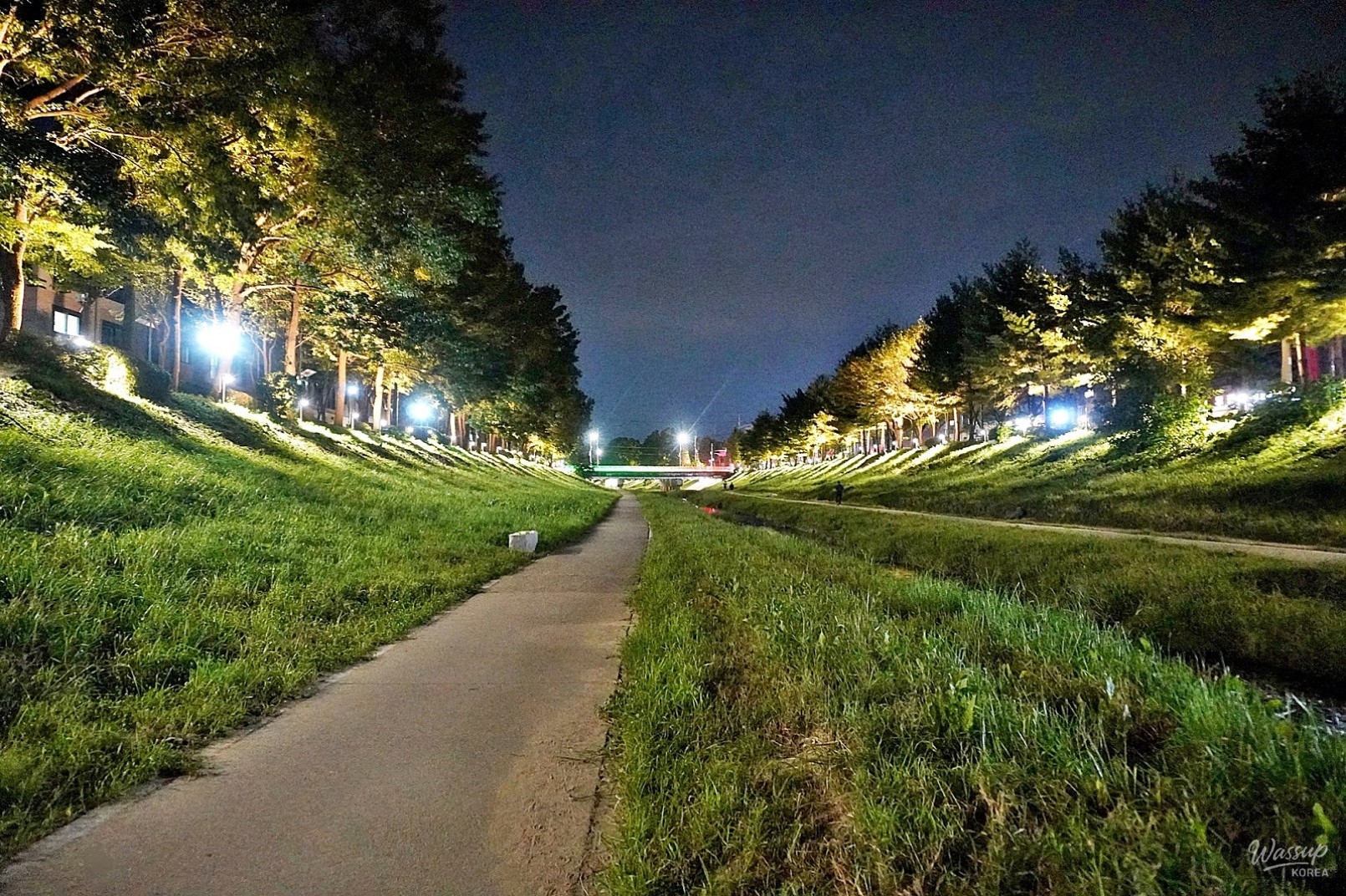 The Night Beauty of Dangjincheon_21
