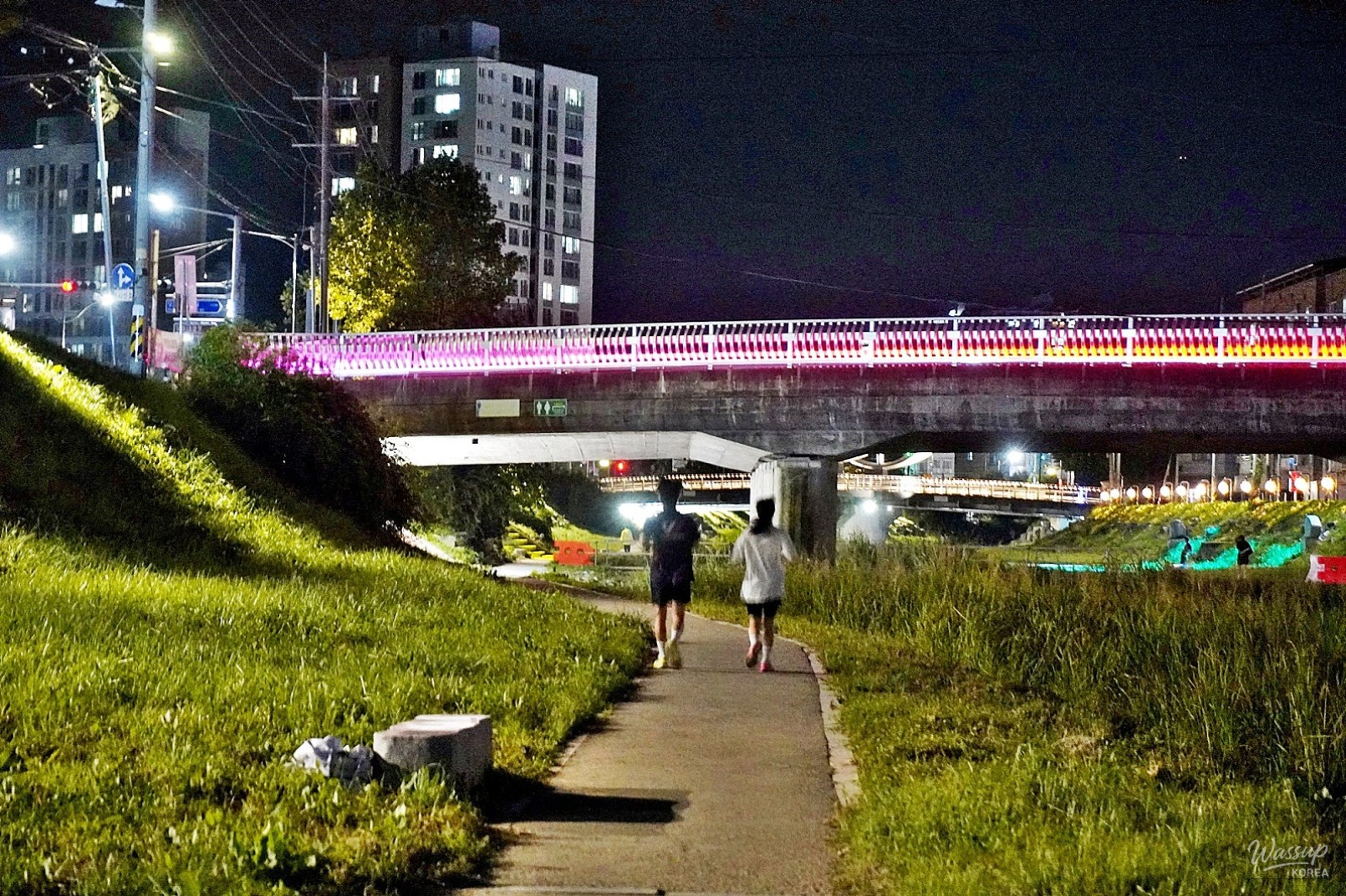 The Night Beauty of Dangjincheon_10