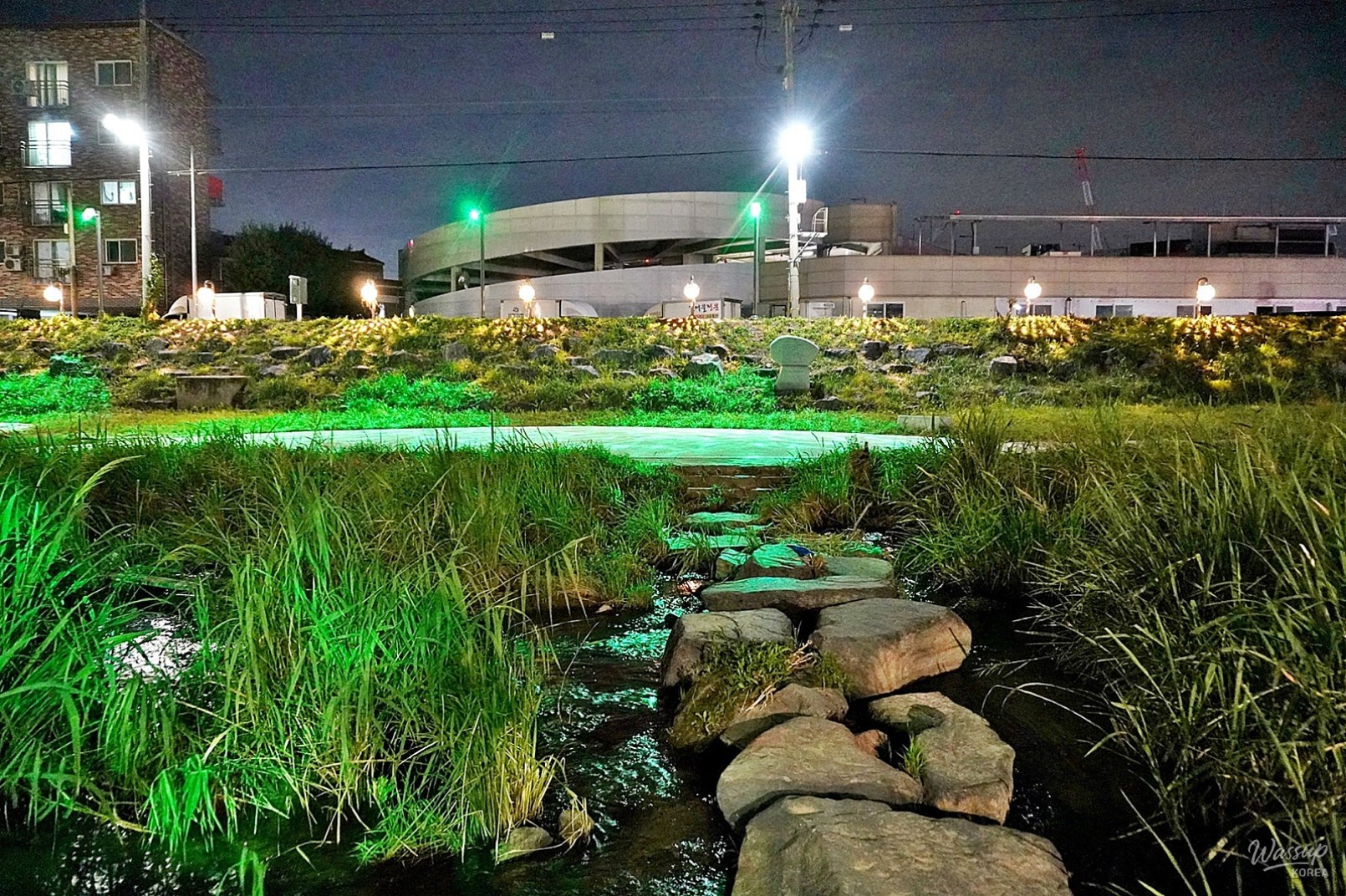 The Night Beauty of Dangjincheon_09