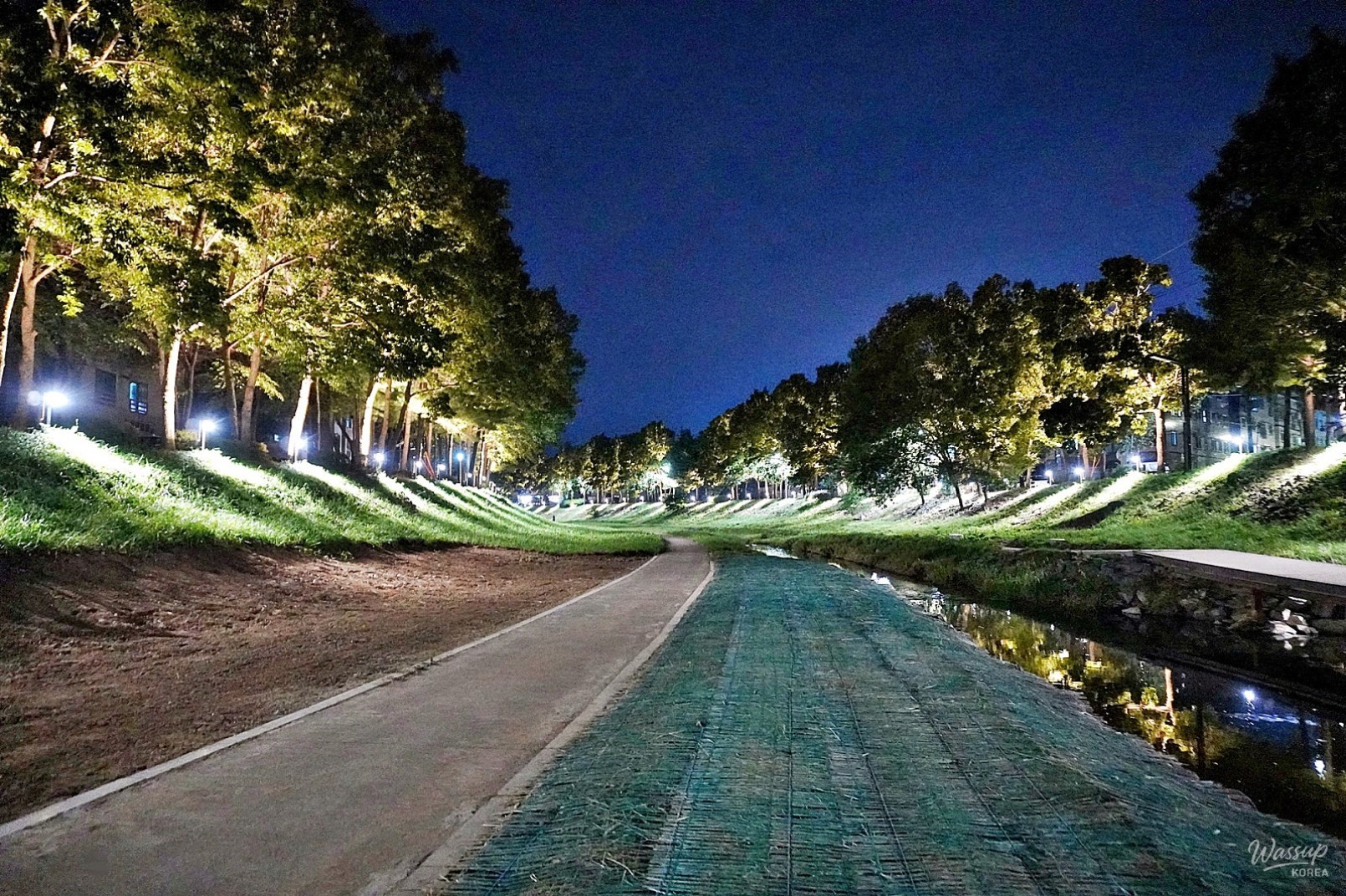 The Night Beauty of Dangjincheon_18