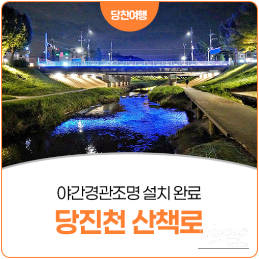 The Night Beauty of Dangjincheon_24