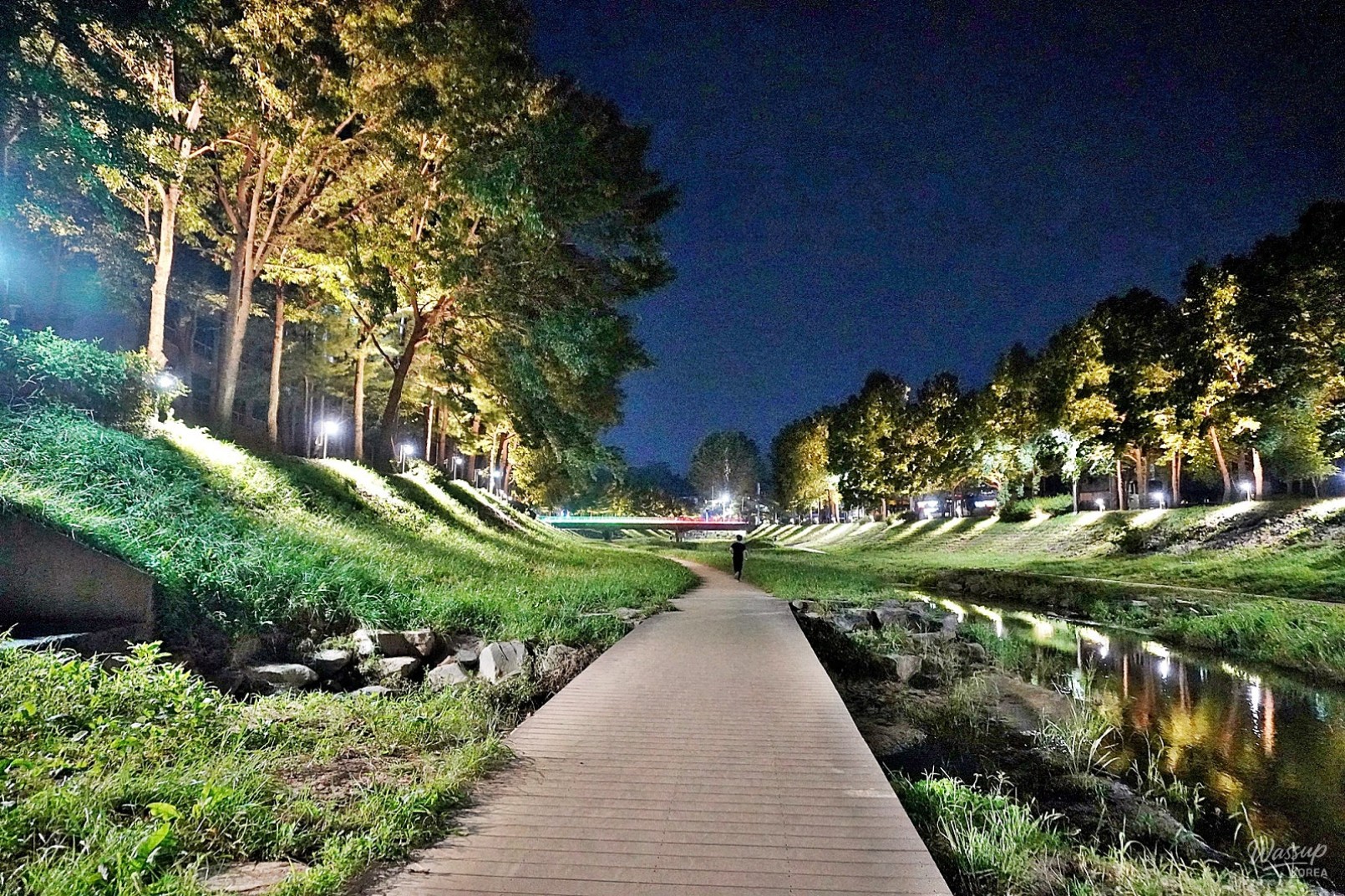 The Night Beauty of Dangjincheon_19