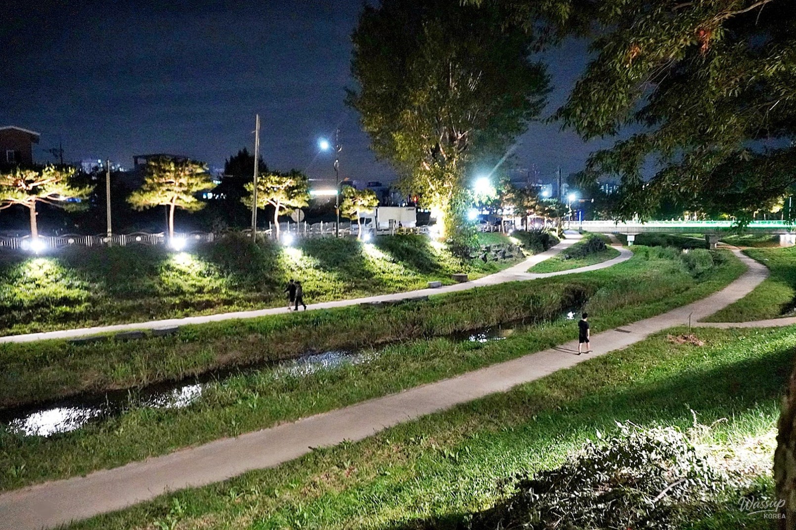 The Night Beauty of Dangjincheon_16