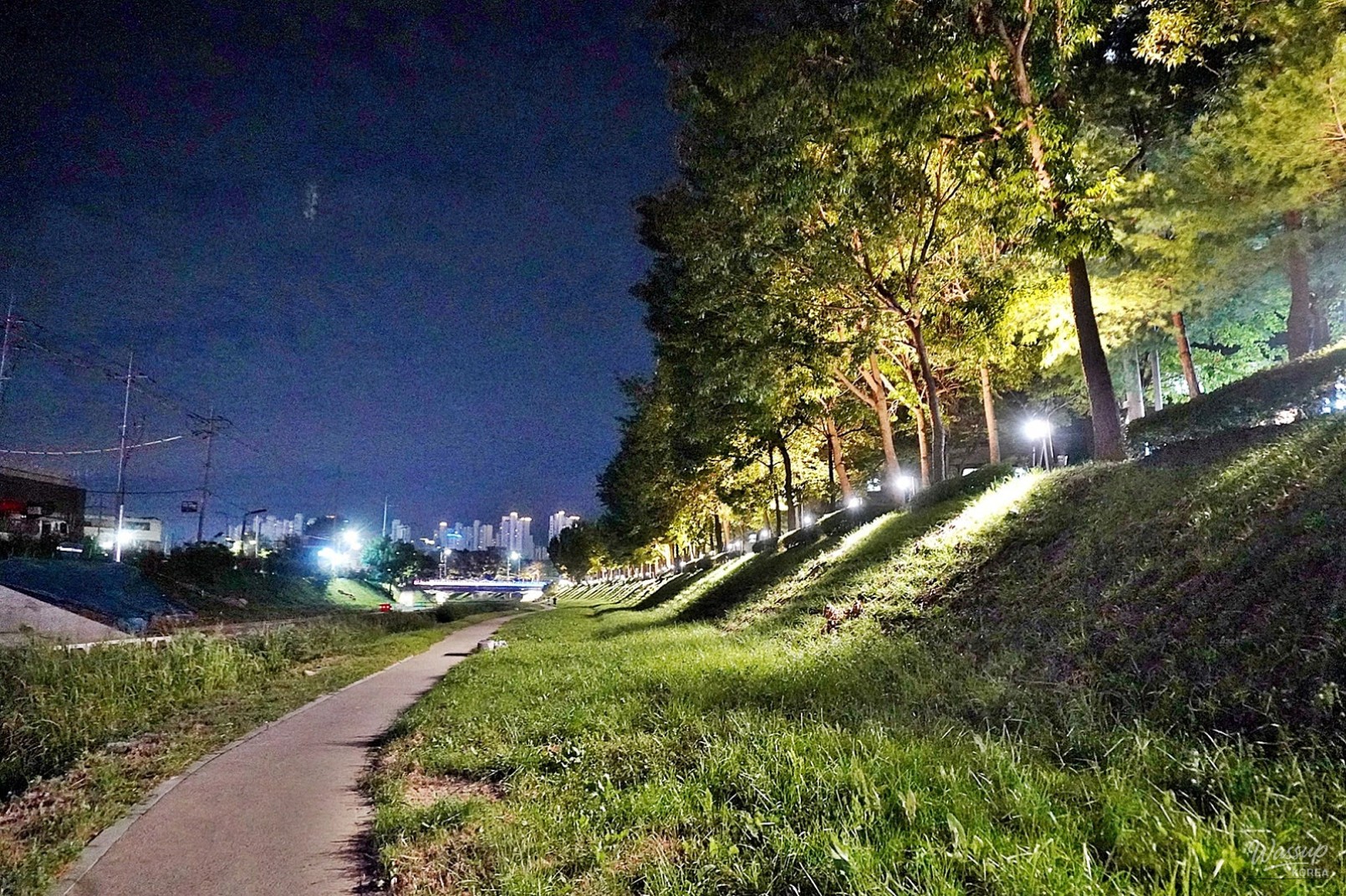The Night Beauty of Dangjincheon_05