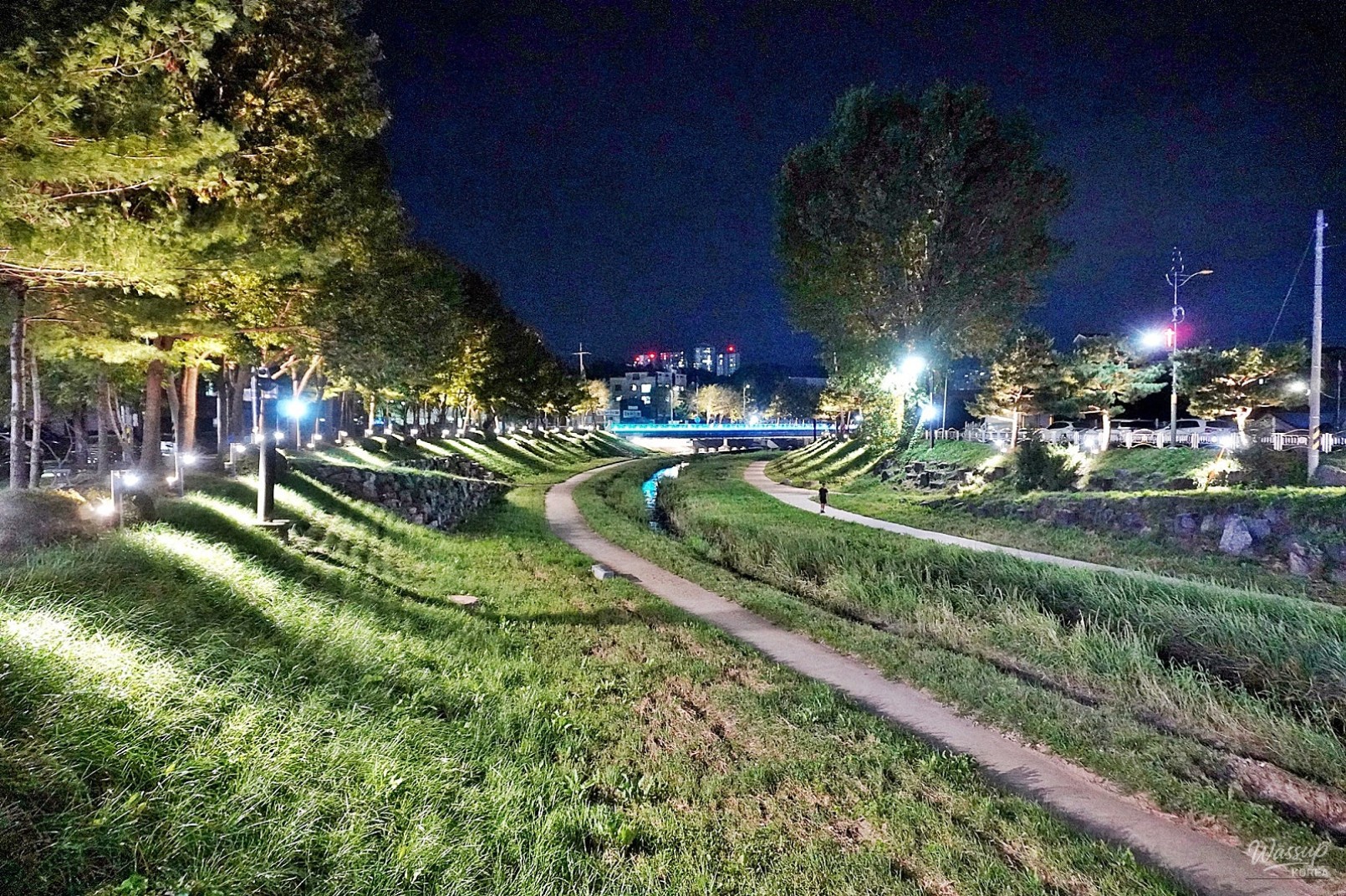 The Night Beauty of Dangjincheon_15
