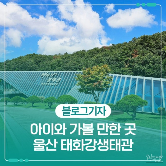 Exploring the Taehwa River Ecological Center with Kids