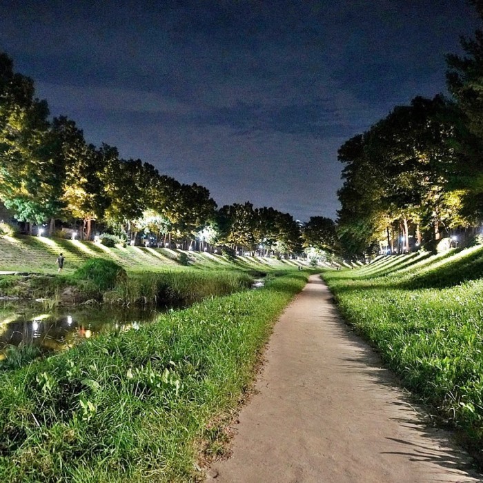 The Night Beauty of Dangjincheon