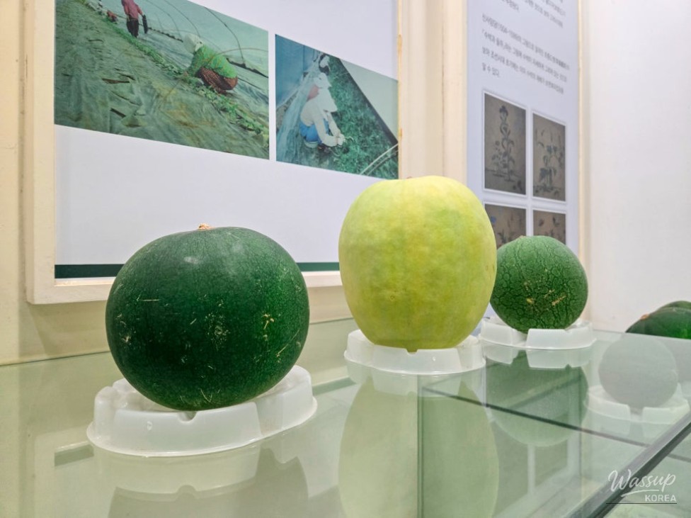 Exploring the Hamann Watermelon Exhibition Hall_13
